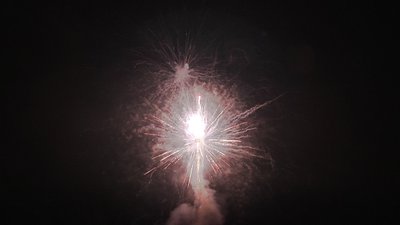 #18803 Cakes 1.2 25 shots