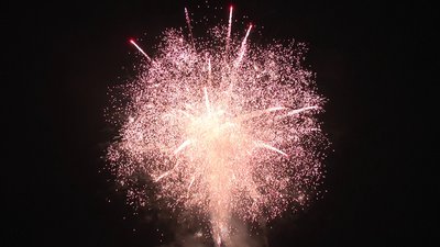 #18805 Cakes 1.2 25 shots