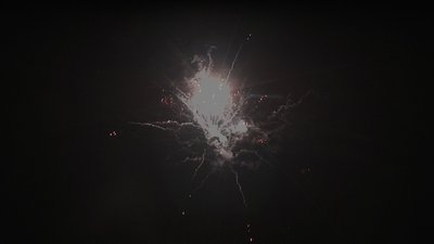 #15235 盆花0.8 25发数