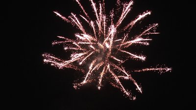 #15141 Tortas 1.2 25 tiros