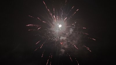 #15193 盆花1.2 25发数