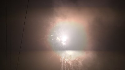 #15721 盆花0.8 100发数