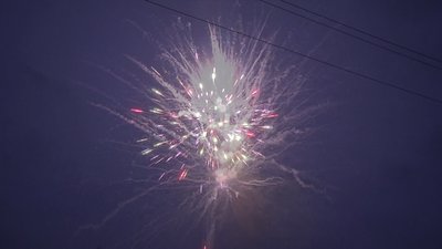 #18917 Module Cakes 1.2 60 shots