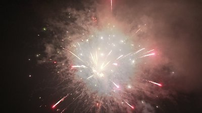 #18921 Module Cakes 1.2 60 shots