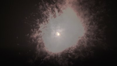 #15377 盆花15x0.8"/35x1.2" 50发数