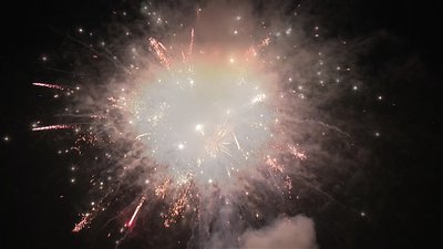 #18922 Module Cakes 1.2 80 shots