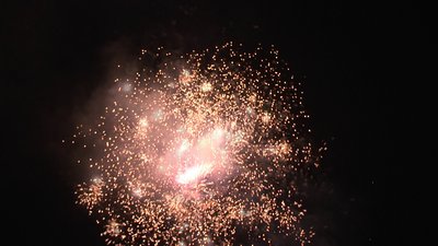 #18925 Module Cakes 1.1 48 shots