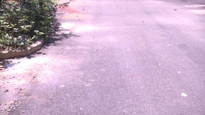 #6178 FIRECRACKERS Firecrackers No.1 K0201 one Bang