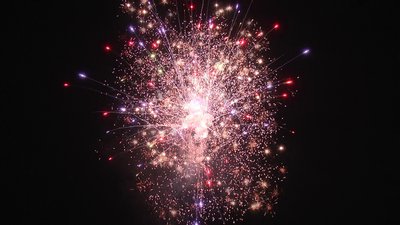 #15284 盆花1.2 100发数