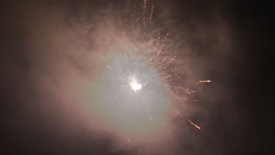 #15108 盆花1.2 36发数