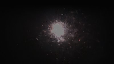 #14489 盆花0.8 36发数