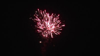 #7686 Tortas 0.8 64 tiros