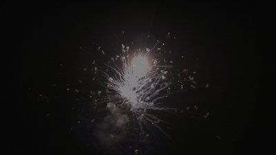 #15335 盆花1.0 16发数