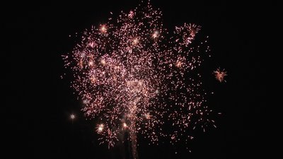 #15086 盆花0.8 100发数