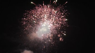 #15120 盆花1.2 138发数