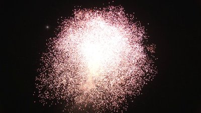 #14815 盆花1.2 214发数