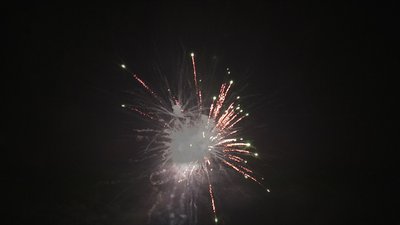 #15348 盆花1.0 25发数