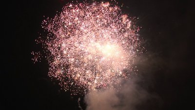 #14090 Cakes 65x0.8"/50x1.0"/36x1.2" 151 shots