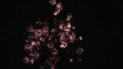 #13296 Cakes 1.0 13 shots