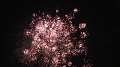 #16945 Cakes 1.0 13 shots