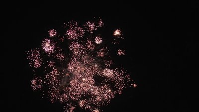 #13296 Cakes 1.0 13 shots