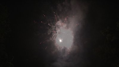 #14490 盆花0.8 64发数