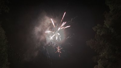 #15141 Tortas 1.2 25 tiros