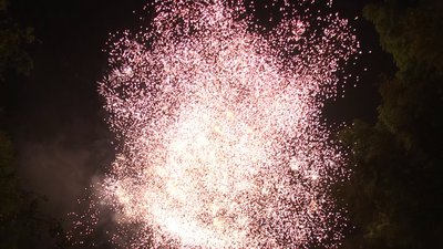 #15120 盆花1.2 138发数