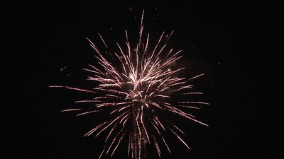 #19004 Cakes 1.2 25 shots