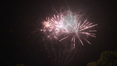 #19006 盆花1.2 42发数