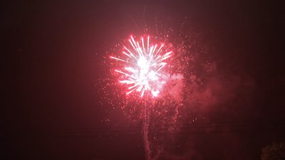 #19011 Cakes 1.2 70 shots