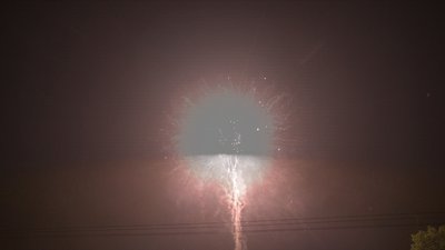 #19015 Cakes 1.2 150 shots