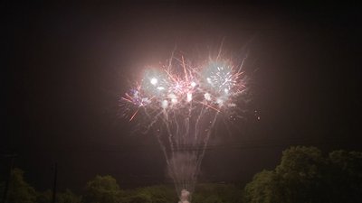 #19015 Cakes 1.2 150 shots