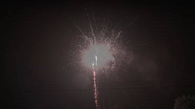 #19007 Cakes 1.2 49 shots