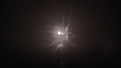 #19011 Cakes 1.2 70 shots