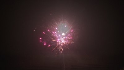 #19015 Cakes 1.2 150 shots