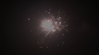 #19012 Cakes 1.2 100 shots