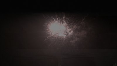 #19012 Cakes 1.2 100 shots