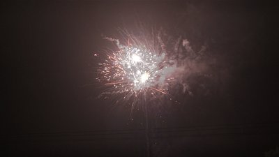 #19012 Cakes 1.2 100 shots