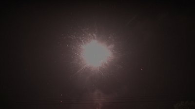 #19013 盆花1.2 100发数