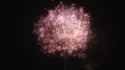 #19010 Cakes 1.2 70 shots