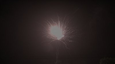 #19013 盆花1.2 100发数