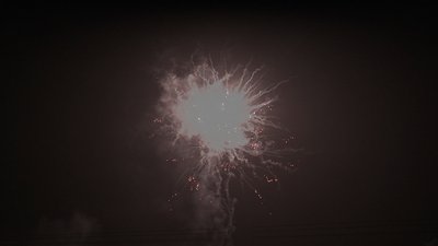 #19014 Cakes 1.2 120 shots