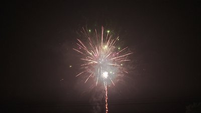 #19014 Cakes 1.2 120 shots