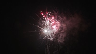 #19007 Cakes 1.2 49 shots