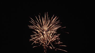 #19004 Cakes 1.2 25 shots