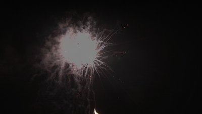 #19012 Cakes 1.2 100 shots