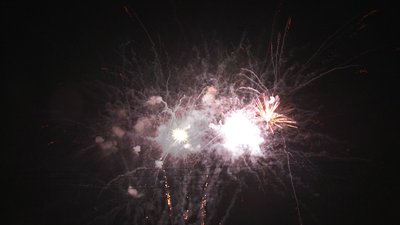 #19006 盆花1.2 42发数