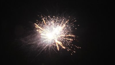 #19013 盆花1.2 100发数