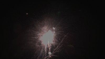 #19007 Cakes 1.2 49 shots